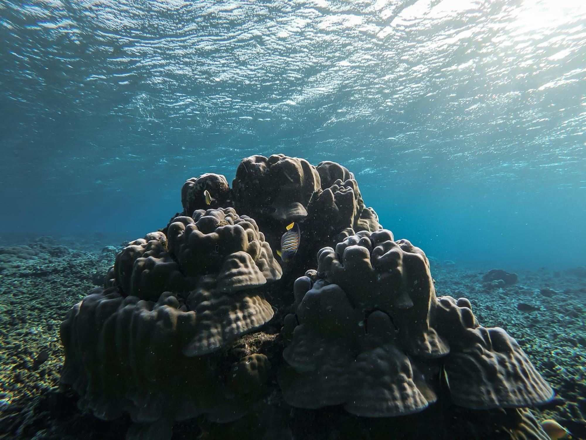 Menjaga Bay Ξενοδοχείο Labuan Bajo Εξωτερικό φωτογραφία