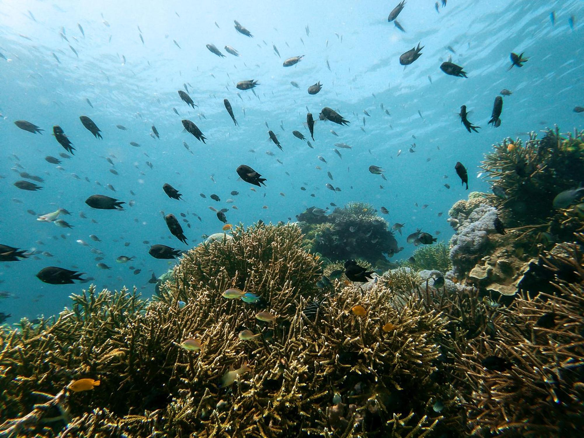 Menjaga Bay Ξενοδοχείο Labuan Bajo Εξωτερικό φωτογραφία
